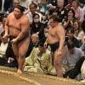 大関安青錦が初黒星で珍事　行司迷いながら伯乃富士に軍配　ＮＨＫアナも驚く「軍配迷った！迷った！」　物言いはつかず