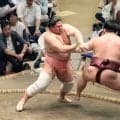 人気力士の幕内・宇良が連勝で３勝１敗に　錦富士得意の形にさせず