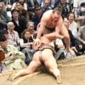 安青錦が初黒星　過去６戦全勝の伯乃富士に敗れる