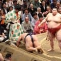 大関昇進を目指す熱海富士が３勝目　前日の負けを引きずらず　藤凌駕に快勝
