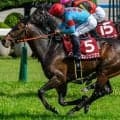【神戸新聞杯】父仔制覇だらけの神戸新聞杯 今年の該当馬は？