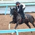 【神戸新聞杯】ダービー惨敗から変わり身十分のグリーンエナジー　上原佑調教師「ちょうどいい雰囲気」
