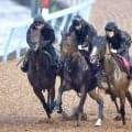 【オールカマー】良化の兆しあり！秋始動戦のレガレイラは推進力抜群　陣営「週ごとに馬のバランスなどが上がってきています」