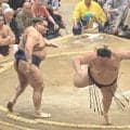 「両者驚愕の身体能力」大の里－高安は壮絶決着　大の里こらえきれず最後は飛ぶ、高安はくるり１回転で金星にネット沸く「負け方が派手」「高安が土俵から出るかと横目でみながら落ちる大の里」