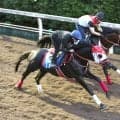 【オールカマー】５か月ぶりでもリビアングラスはいきなり全開モード　陣営「いいイメージで競馬に行けます」