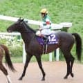 【注目馬動向】ヘデントールは京都大賞典で秋始動　昨年の天皇賞・春でＧ１初勝利