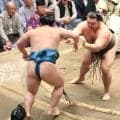 綱取りの霧島が３勝目　前日の敗戦引きずらず　琴栄峰に快勝