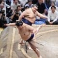 大の里が初黒星、高安の当たりに引く相撲「前に出る意識を持って」立て直し誓う
