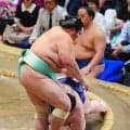 琴桜が単独トップ「褒められたもんじゃない」唯一無敗も喜びなし　大の里、安青錦らは１敗に後退