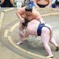 大関・琴桜、ただ一人勝ちっぱなしの４連勝　懐の深さを生かした白星にも「ほめられたものではない。納得はしていない」