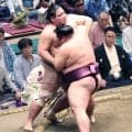 新十両の時不動が３勝目　場所前に贈られた番傘を初使用「和紙のにおいがして意気だなと思った。いろいろなものをいただいたので、もう落ちれない」