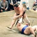 元大関・朝乃山が３勝目「当たって前に出る相撲がはまった」