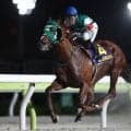 【大井・東京記念結果】セラフィックコールが横綱相撲で大井の重賞を初制覇