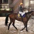 【東京記念】リベイクフルシティは２着好走も…３馬身半差の完敗に和田譲治騎手「今日は相手が強かった」