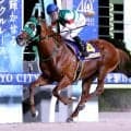 【東京記念】断然１番人気のセラフィックコールが重賞４勝目　いざＪＢＣへ　吉原寛人騎手「一段とパワーアップした」