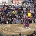 「めっちゃ分厚い」高安、横綱撃破で“上限懸賞”ゲット 計61本…金星で手にした夢ある光景に反響続々