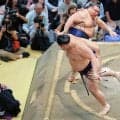 高安「達成感ある」大の里撃破で通算７個目＆３６歳６か月年長９位の金星「やっぱり気持ちがいい」