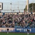 広島の応援席に“謎の模様”　神宮球場の特殊事情を推察「観戦慣れしてる人しか来てない証明」