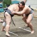 イングランド出身・栄誠、森麗との初対戦に感慨「楽しみな気持ちでした」　初の連勝で白星先行