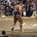 高安「のこった」 驚異の瞬間に「あの足」「見事」「ダンサブル」横綱撃破でSNS反響続々
