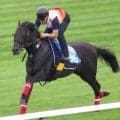 【注目馬動向】母ラキシスのミラージュナイトはアルゼンチン共和国杯で初タイトル狙う　ミニトランザットはスワンＳへ