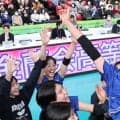 春高バレー新潟県予選会が19日開幕　男子は新発田中央が充実　女子は長岡商が高い完成度