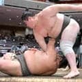 三段目・阿龍が２場所連続無傷の３連勝　勝ち越しに向け「気を抜かずに」