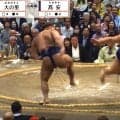「傷害罪で刑事告訴すべき」好角家のミュージシャン、一部ファンの“残念”な振る舞いに怒りの声 観戦マナー問いかけ