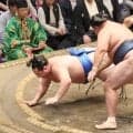 【見出し】横綱のしこ名を継ぐ旭富士が２勝目　史上最速タイの十両昇進へ白星先行