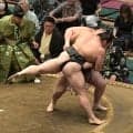 “史上最強の新弟子”旭富士が白星先行　先場所十両力士を堂々裏返しにする【大相撲】
