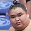 旭富士が連敗回避、西ノ龍を上手投げで破り２勝目　３度目の立ち合いから左四つで攻め切る