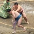 新十両の時不動が４勝目　かつての兄弟子・玉正鳳との対戦には「熱くなるものがあった」　取組後は「ラヴ上等」鑑賞でリラックス