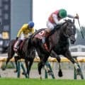 【阪神JS出走馬・騎手確定】ジューンベロシティ＆高田潤騎手、ホウオウプロサンゲ＆小野寺祐太騎手など12頭