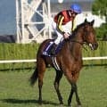 【オールカマー出走馬・騎手確定】レガレイラ＆戸崎圭太騎手、コスモキュランダ＆横山武史騎手など13頭