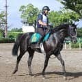 【ＰＯＧ】祖母はＧ１馬メジャーエンブレムのフィエールマン産駒　２１日の中山でデビュー　津村明秀騎手「操縦性がいい」