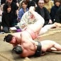 宇良が外掛けで４勝目　低い姿勢貫き館内大歓声　若元春も「なかなか起きてくれない」と脱帽