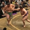 大相撲　５日目にして早くも全勝力士が消滅　琴桜が敗戦　５連勝ならず　大の里、霧島、熱海富士は１敗キープ　安青錦は痛恨の２連敗