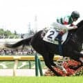 【注目馬動向】６月の新馬戦を快勝したフィリオソラーレはサウジアラビアロイヤルＣへ　キャロットクラブが発表