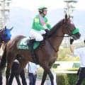 【注目馬動向】タガノデュードは天皇賞・秋で巻き返しを狙う　タイセイボーグは西村淳也騎手と秋華賞へ