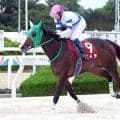 【兵庫アーバン競馬】単勝１・０倍のバドラが重賞初制覇　赤岡修次騎手「優勝できてよかった」園田プリンセスＣ