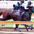 【スプリンターズＳ・１週前】安田記念２着のワールズエンドが自己新の抜群の動き　池添調教師「時計も動きも良かった」