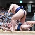 安青錦が一方的に敗れ2連敗　元貴景勝の湊川親方「相手に研究材料を与えてしまったのかも」