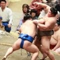 新三役対決は藤ノ川に軍配「作戦なんてどうでもいい、勝つんだの気持ち」元貴景勝の湊川親方絶賛