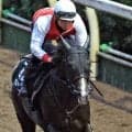 【神戸新聞杯】日本ダービー６着アルトラムスが坂路で豪快な伸び　野中調教師「動きの質がかなり良くなってきている」