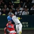 阪神　森下翔太が３４号２ラン！左翼ポール直撃の一撃に甲子園大歓声　佐藤輝明に１本差　２人で何か言葉をかわす　中軸３人で全７得点の大暴れ