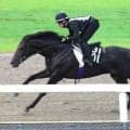 【神戸新聞杯】武豊騎手と初コンビの５・９億円馬エムズビギンは軽快な走り　友道調教師「春より折り合いもつくように」