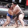 関脇藤ノ川が小結伯乃富士との新三役対決制す　父の甲山親方「めちゃくちゃいい相撲」