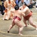 ４勝目の熱海富士　圧倒的な相撲を親方衆が絶賛　八角理事長「強くなっている」浅香山部長「相手を圧倒する相撲だった」