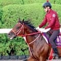 単なる前哨戦ではないフォーエバーヤングの秋初戦　坂井瑠星騎手「いつも通りの競馬」で狙うは勝利のみ　ジョッキークラブＧＣ