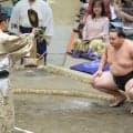 新十両の丹治が不戦勝で４勝目　序盤５日間を４勝１敗「勝っている分、疲れもない。変わらずに自分の相撲を取れるように」